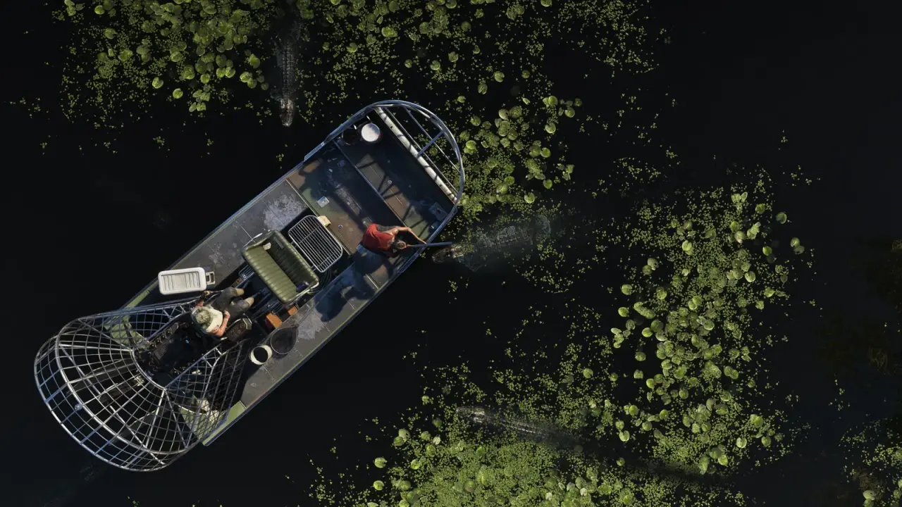 An airboat moving through dense Grassrivers wetlands